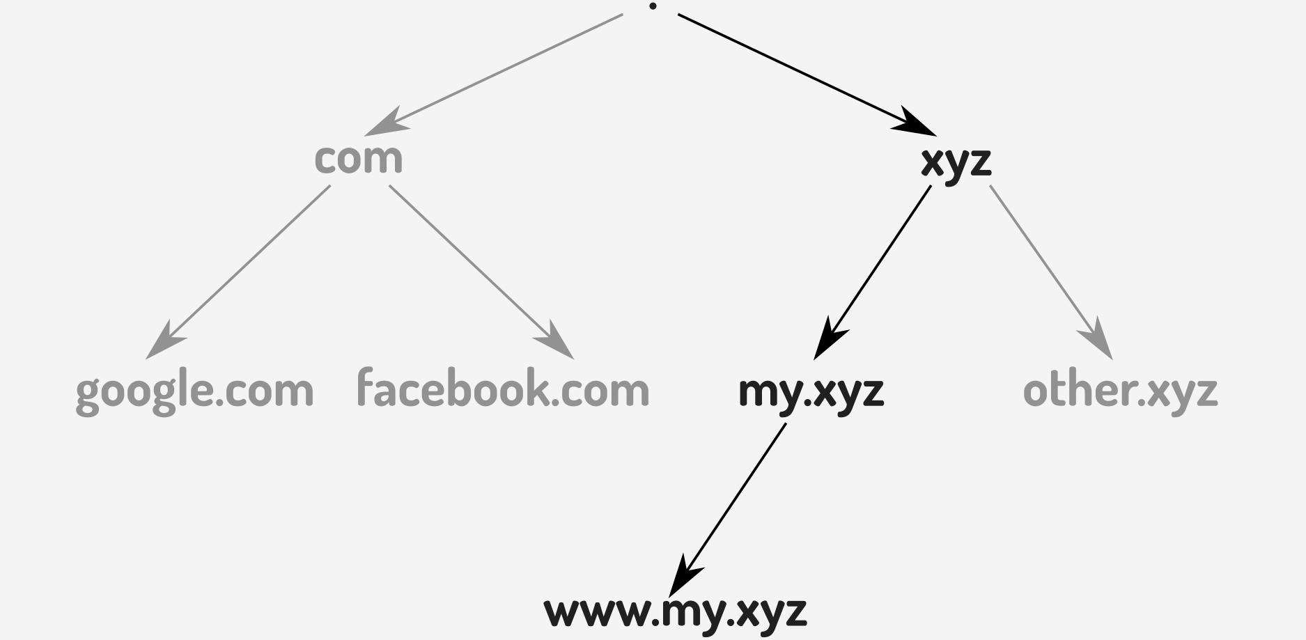 显示从 DNS 根目录到 www.my.xyz 的路径的 DNS 层次结构